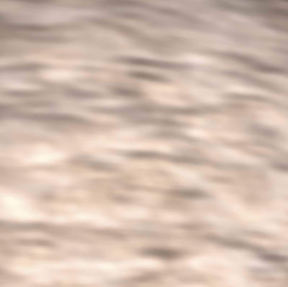 connermcelmury